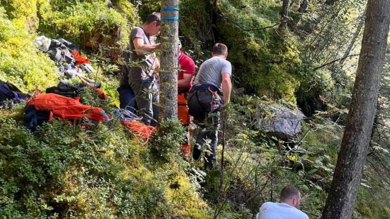 Das hilflose Tier kam nicht mehr selbst nach oben. 