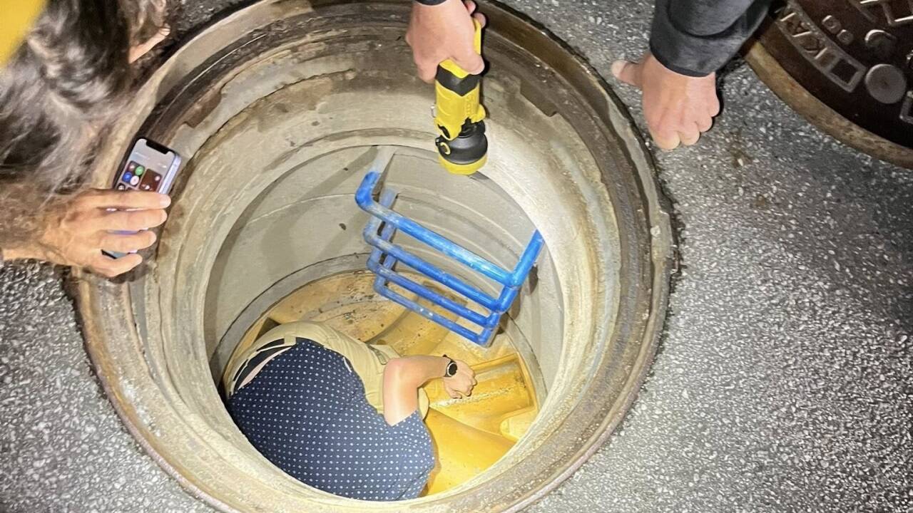 Innerhalb kurzer Zeit konnte die verängstigte Katze in einem Seitenkanal entdeckt werden. 
