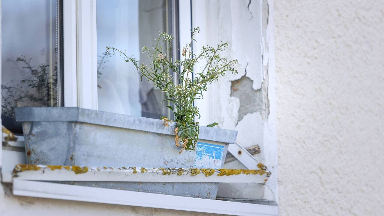 Wer heuer eine Sanierung vorhat, muss das ohne Geld des Landes bewerkstelligen. Neue Förderanträge können weiterhin nicht gestellt werden. Nur altersgerechte und behindertengerechte Umbauten werden noch gefördert. Wer heuer eine Sanierung vorhat, muss das ohne Geld des Landes bewerkstelligen. Neue Förderanträge können weiterhin nicht gestellt werden. Nur altersgerechte und behindertengerechte Umbauten werden noch gefördert.