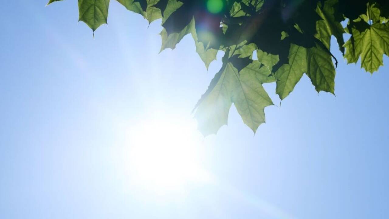 Entscheidend Verringerung der ozonschädigenden Substanzen 