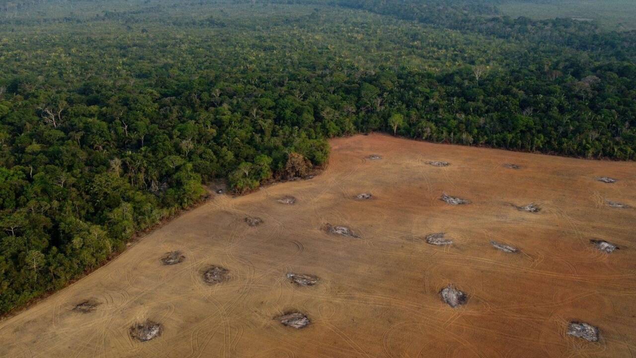 Brasilien hat mit 60 Prozent den größten Anteil am Amazonas-Gebiet, das sich auf insgesamt neun Länder erstreckt (Archivbild).  
