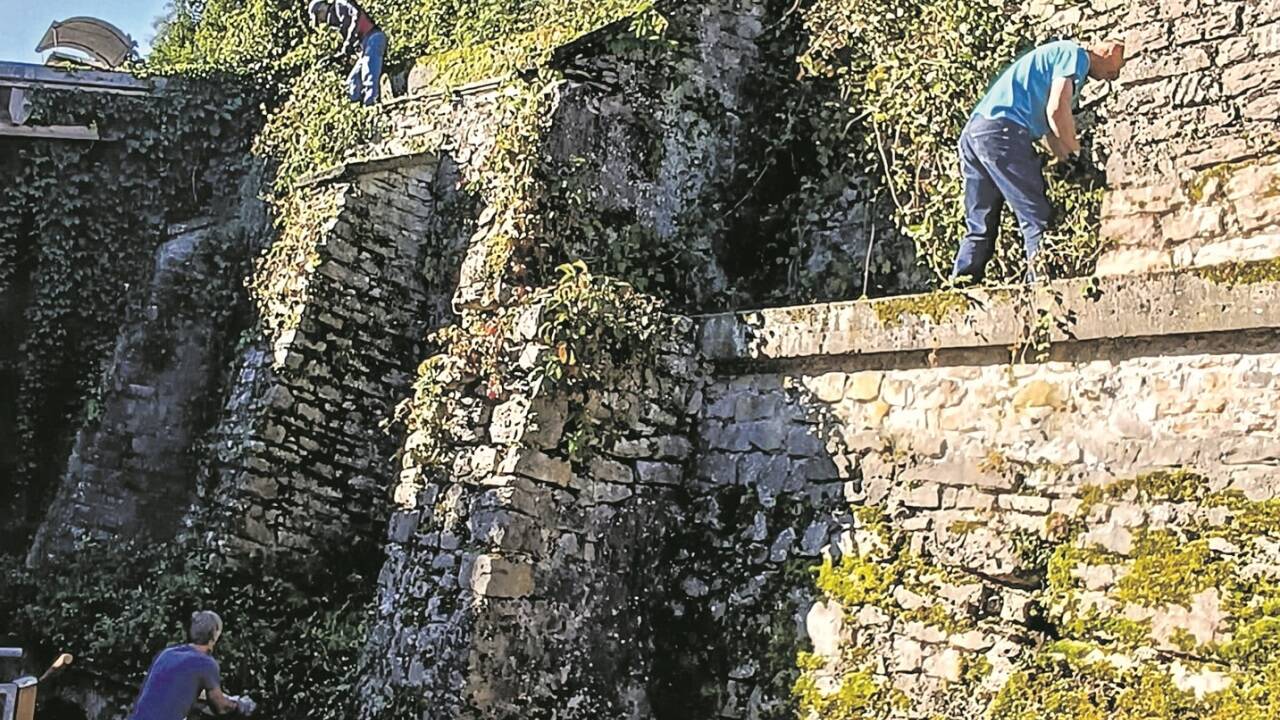 Der Grünbewuchs wurde von Mitgliedern entfernt. 