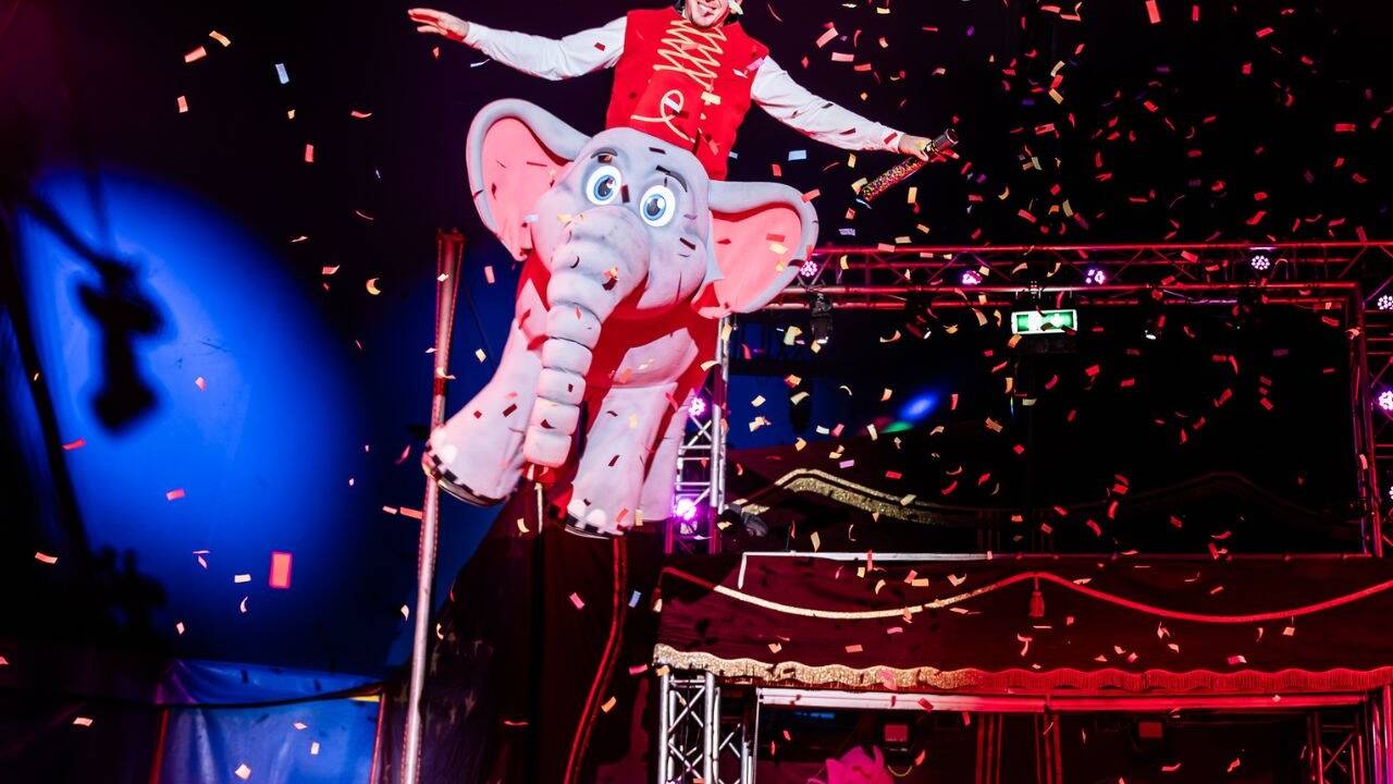 Der etwas andere Circus, der Unterhaltung für die ganze Familie bietet. 