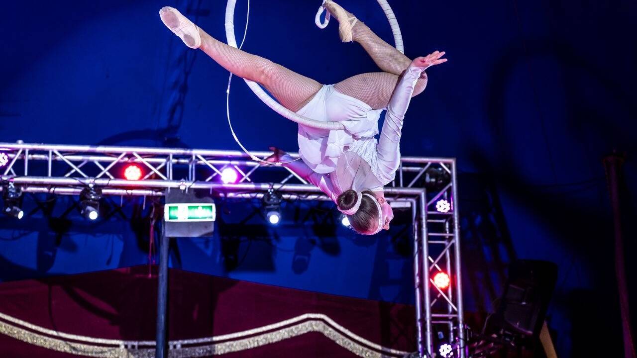 Der etwas andere Circus, der Unterhaltung für die ganze Familie bietet. 
