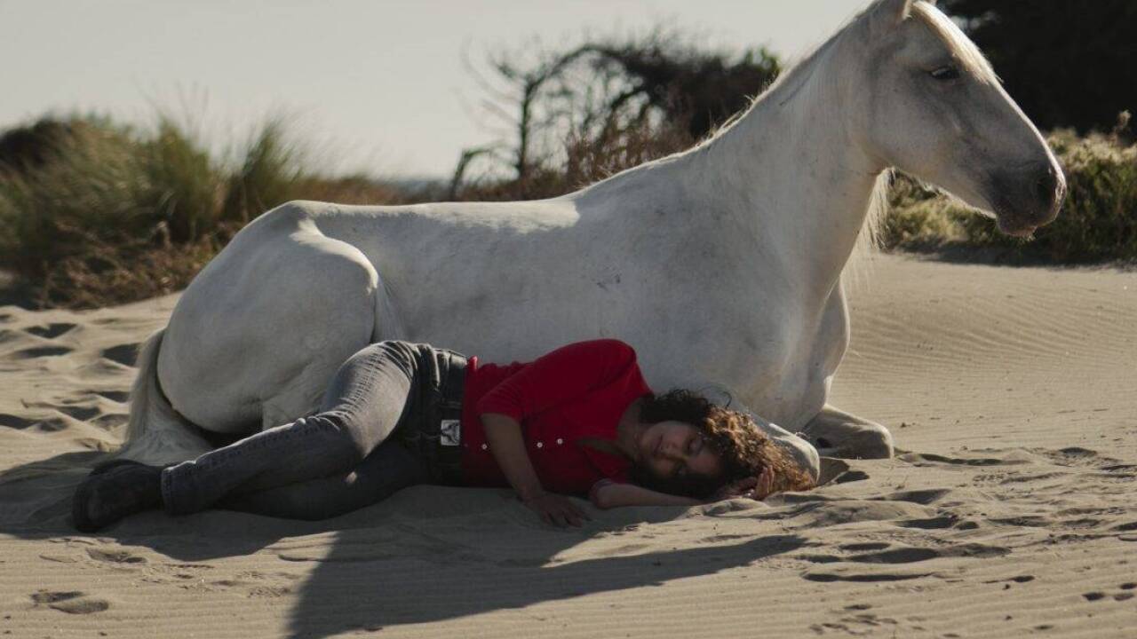 Bilder zum Film „Animale“. 