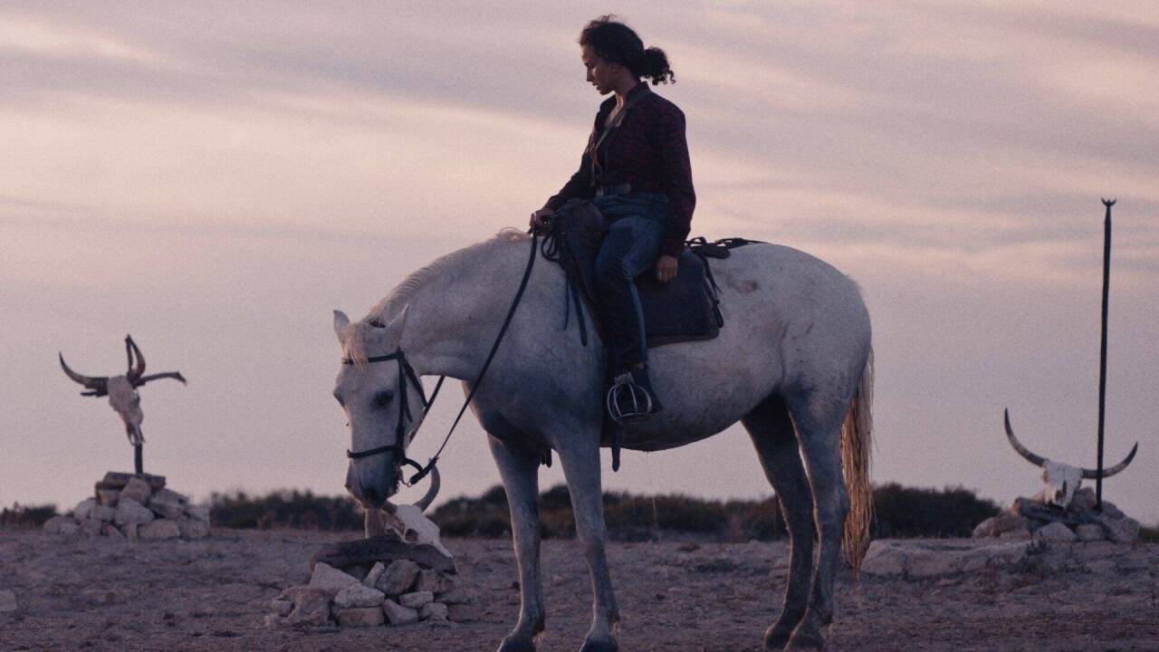 Bilder zum Film „Animale“. 