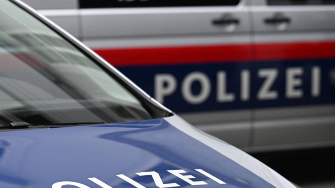 Entlaufenes Rind gefährdete Passanten und Verkehr 