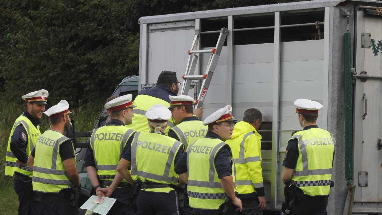 Polizisten bei der Kontrolle. 