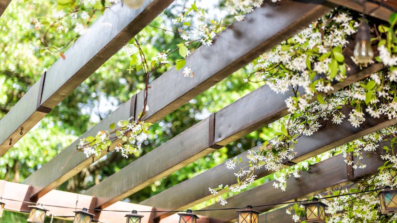 Klassischerweise wird eine Konstruktion als Pergola bezeichnet, die einen seitlich und oben offenen Raum bildet. 