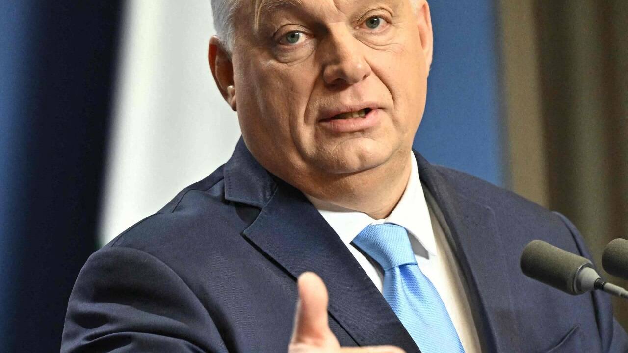 Der ungarische Ministerpräsident Viktor Orban. 