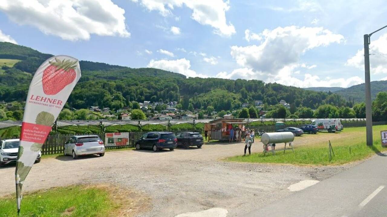 Das Grundstück in Aigen ist aktuell an die Familie Lehner verpachtet, die hier ihre Erdbeeren anbaut.  