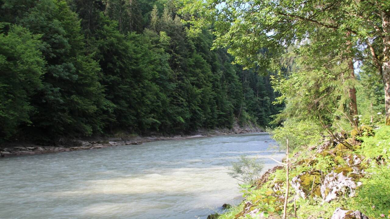 Die Saalach bei Unken soll zur Stromgewinnung genutzt werden.  
