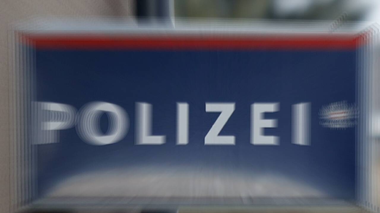 Die Polizei schnappte den Dieb. 