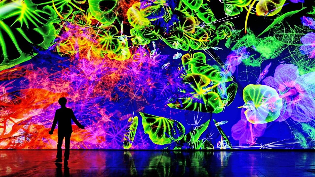 Miguel Chevalier, Meta-Nature AI, seit 2023, Generative und interaktive Installation, Software: Claude Micheli, Antoine Villeret, Installationsansicht: Jeonnam Museum of Art, Gwangyang (Südkorea), 2024<br />© Miguel Chevalier, VG Bild-Kunst, Bonn 2025, Foto: Thomas Granovsky 