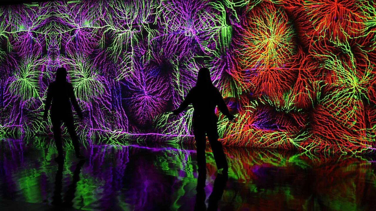 Miguel Chevalier, Fractal Arborescences, seit 2023, Installationsansicht: Ara Art Center, Seoul (Südkorea), 2023<br />© Miguel Chevalier, VG Bild-Kunst, Bonn 2025, Foto: Thomas Granovsky 