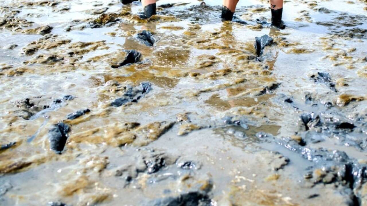 Im Schlick kann man einsinken und gefangen geraten 