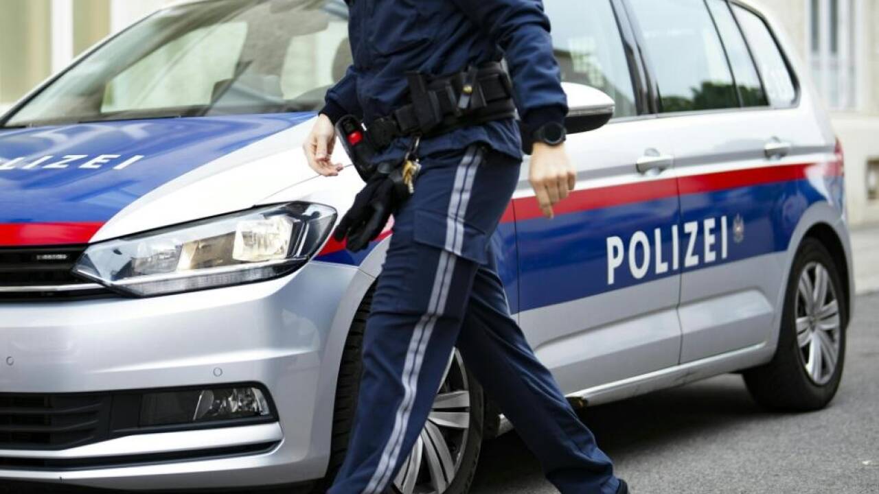 Zwei strafmüdige Burschen festgenommen 