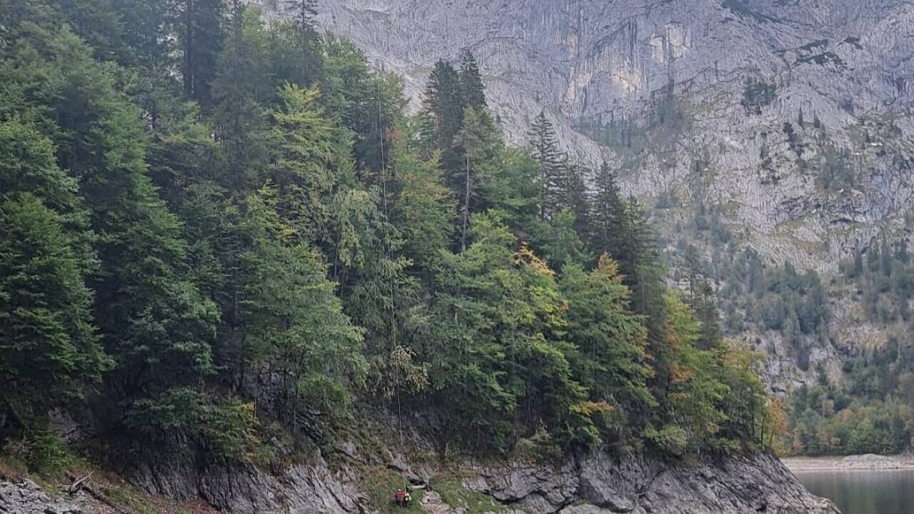 Ein Rettungshubschrauber brachte die Verletzte ins Krankenhaus nach Schwarzach. 
