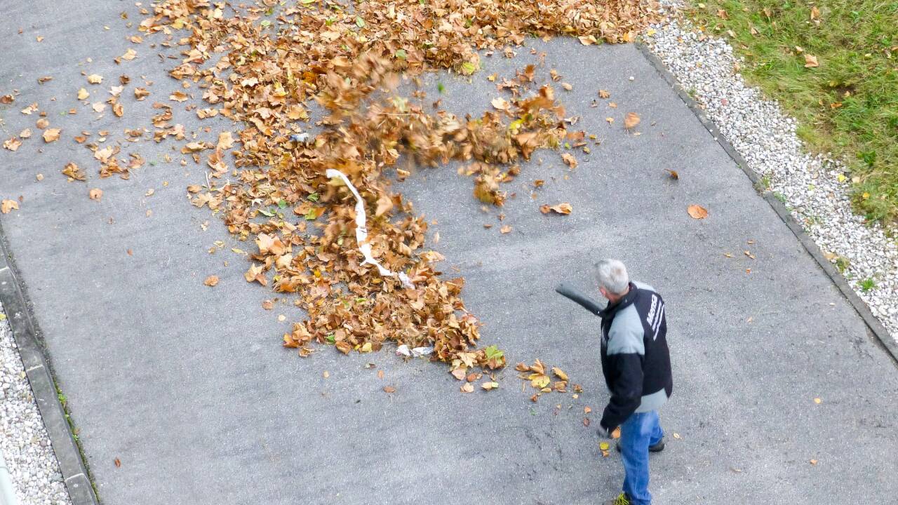 Das Laub muss weg.  
