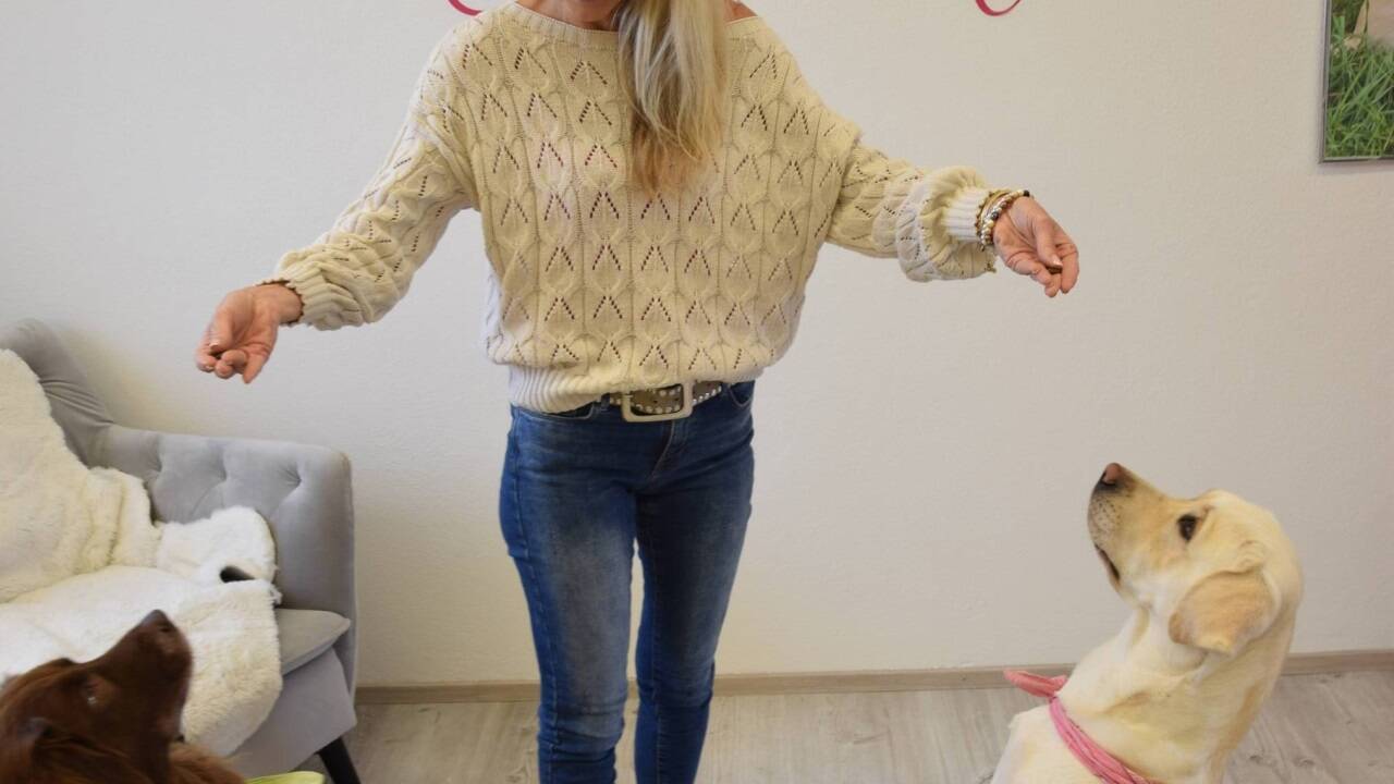 Männchen machen und noch mehr Tricks haben die Vierbeiner auf Lager. 