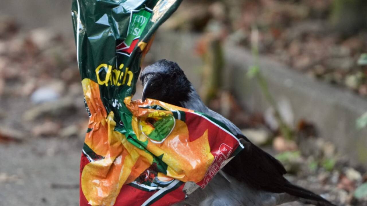 'Littering' gehört zu den größten Alltagsärgernissen 