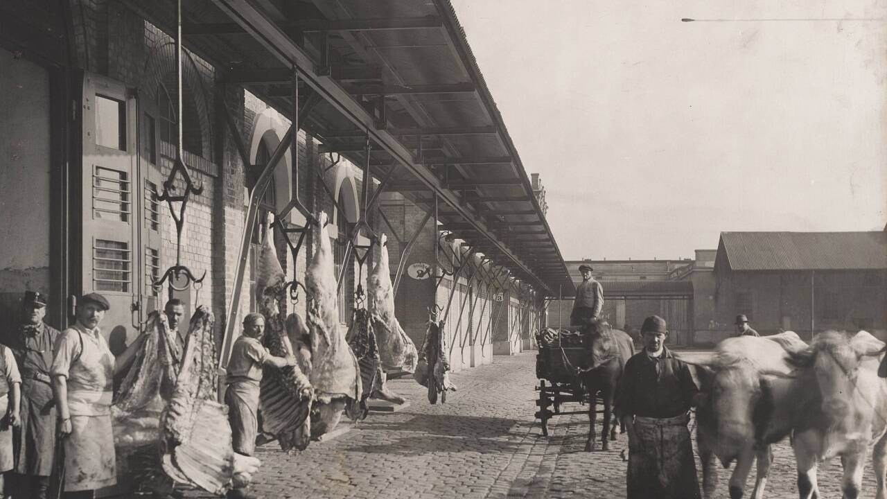 Viehmarktgasse 5-7, St. Marx, Schlachthof St. Marx, Luftbahn (Hängebahn) für den<br />Fleischtransport, um 1926.  