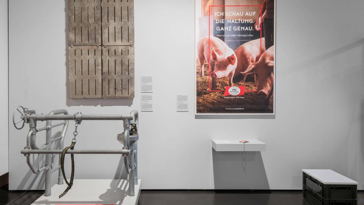 Ausstellung „Fleisch“ im Wien Museum  