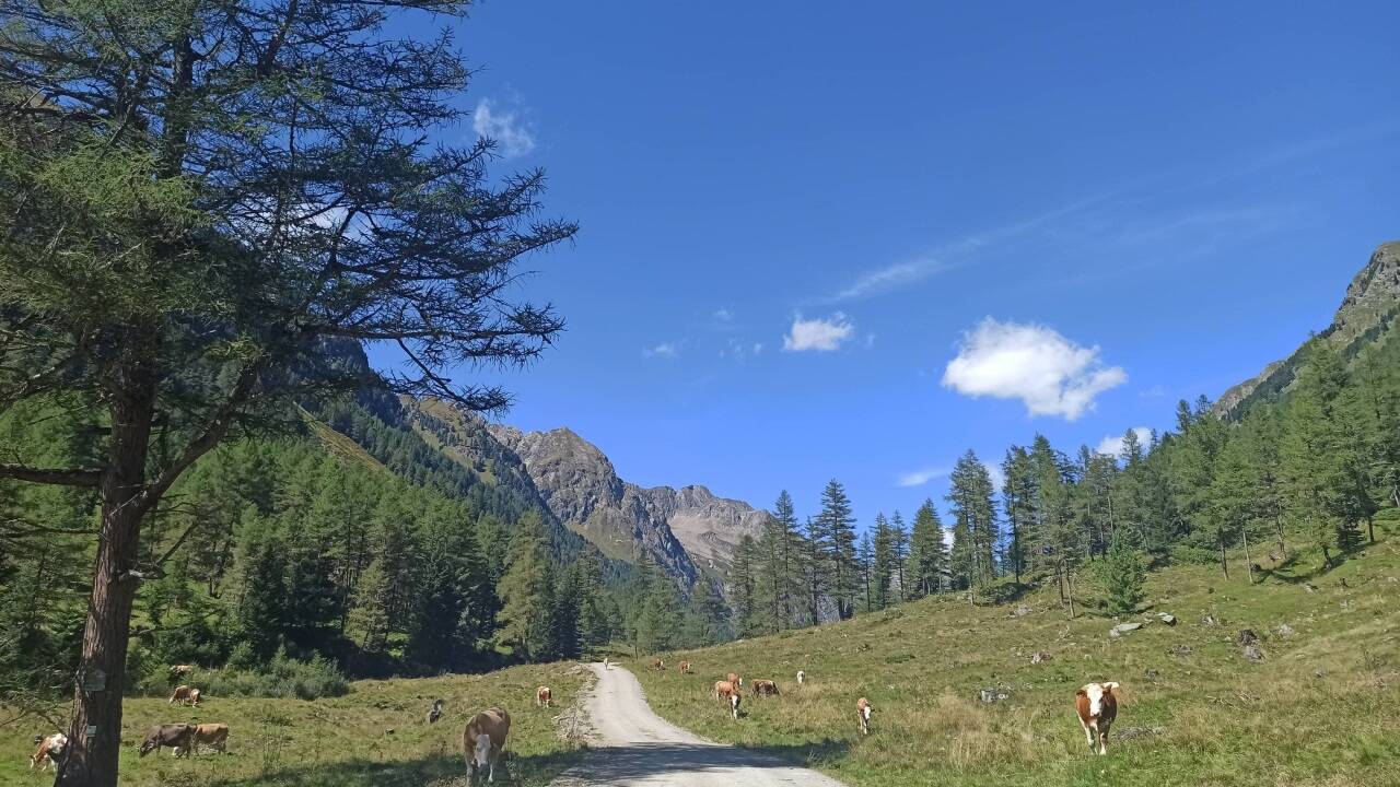 Durchs beschauliche Lignitztal 