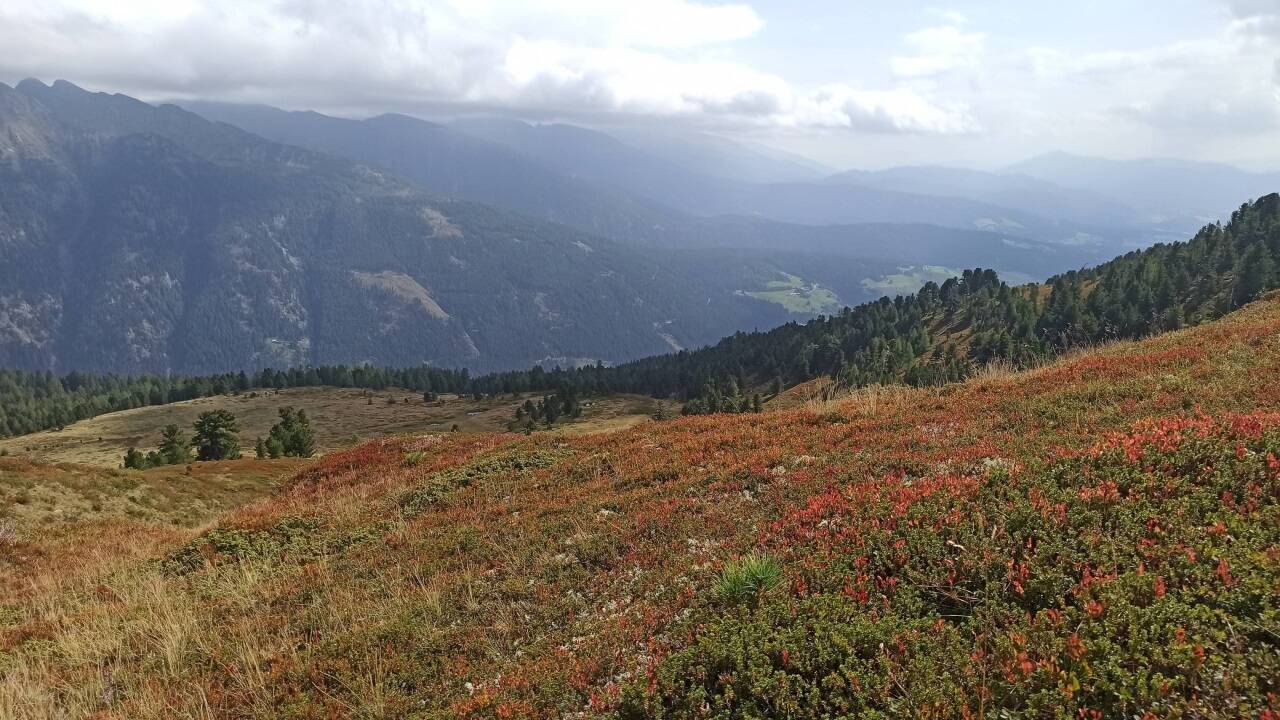 Panoramablick am Fanningberg 