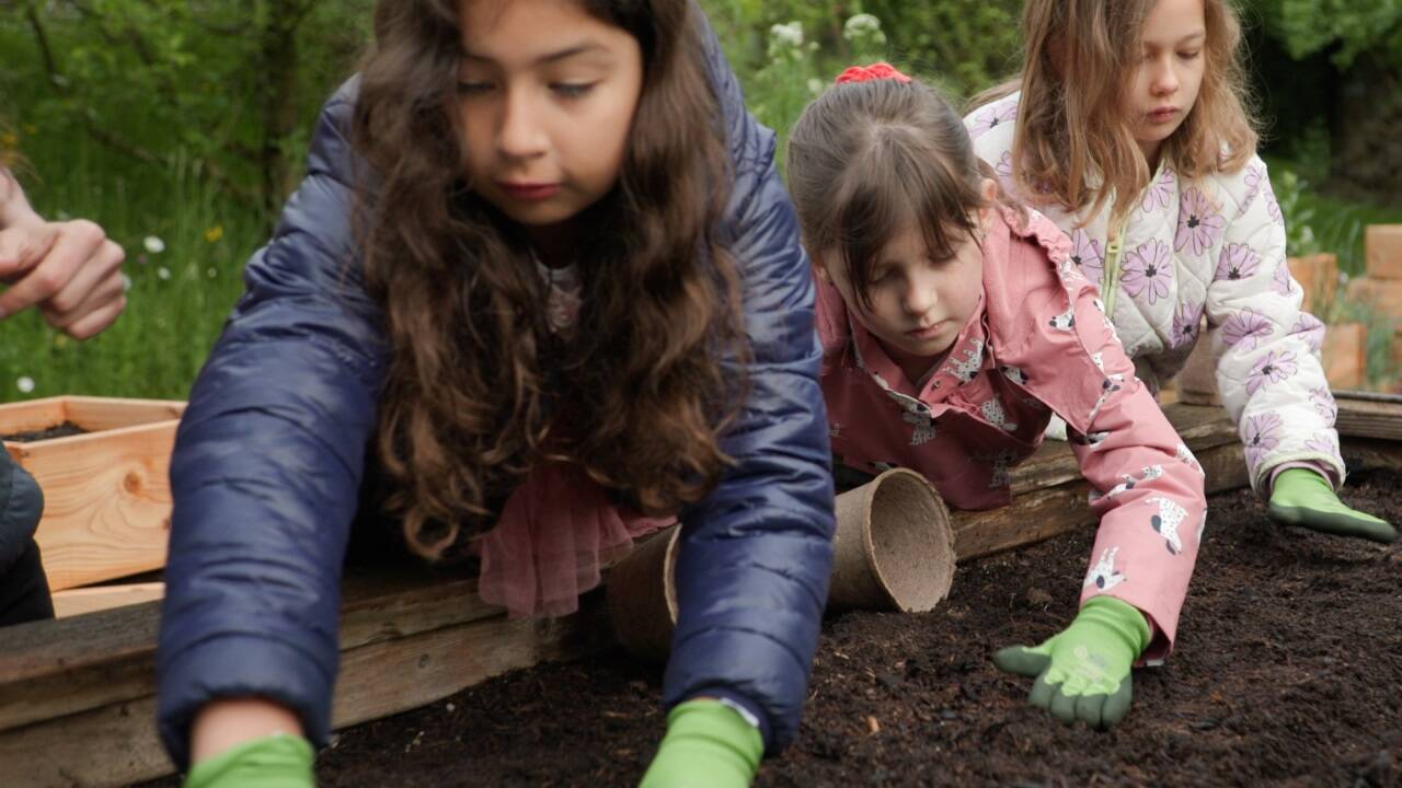 Kinder lernen spielerisch, was die Karotte so besonders macht. 