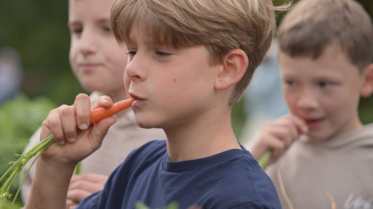 Kinder lernen spielerisch, was die Karotte so besonders macht. 
