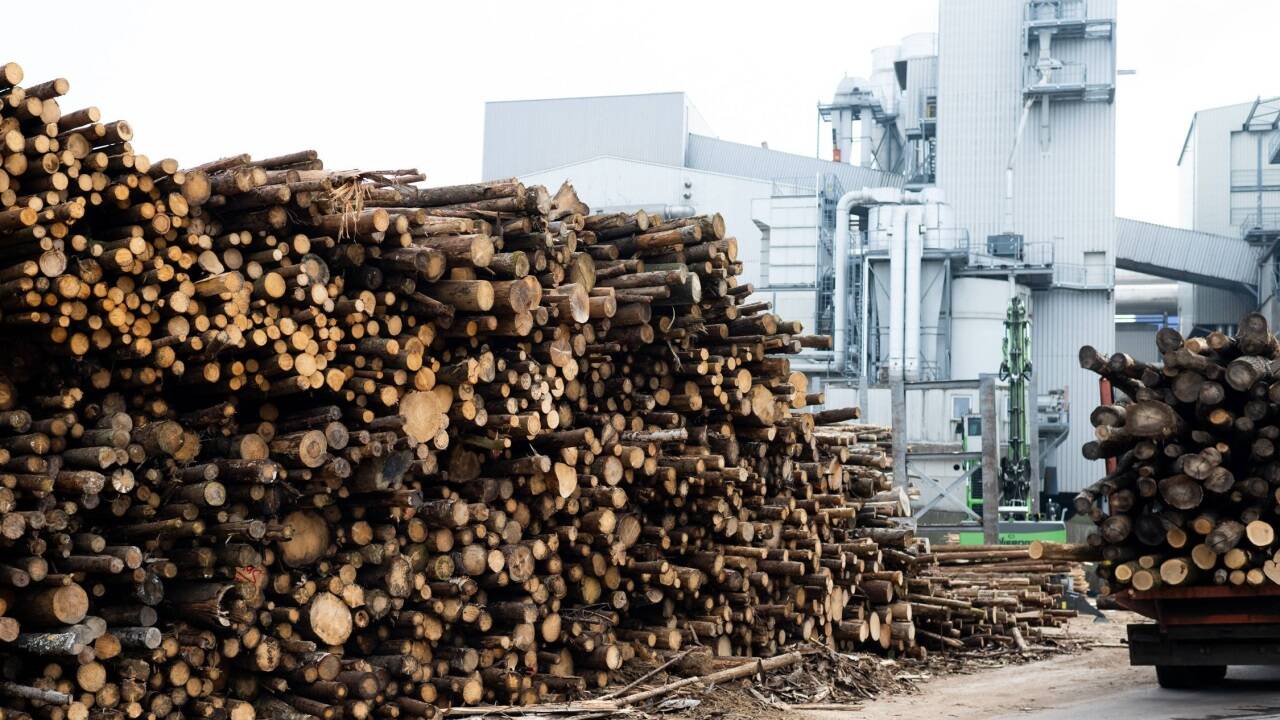 Auf dem Werksgelände von Kaindl in Wals sollen ein Biomasse-Heizkraftwerk mit einer Leistung von 150 Megawatt errichtet werden; zudem kommt auch eine weitere Photovoltaikanlage dazu. 