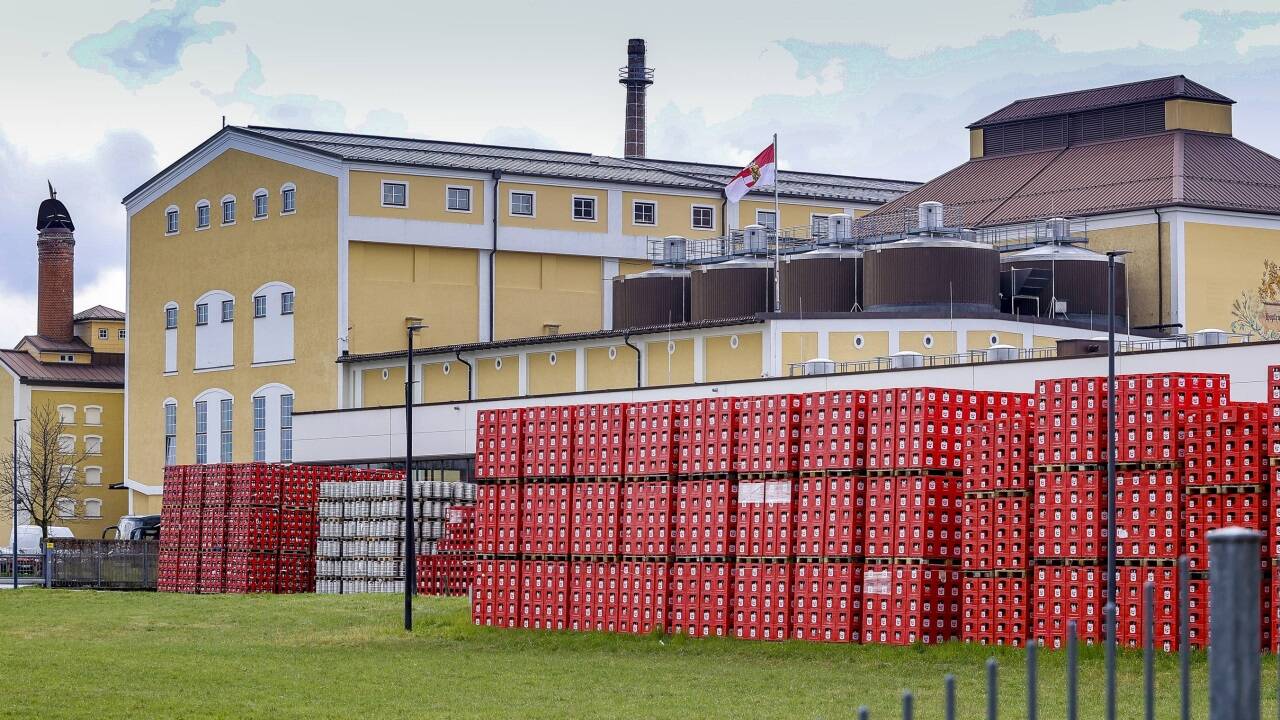 Die grüne Wiese vor der Stiegl-Brauerei bildet das Zentrum einer Baulanddiskussion.  