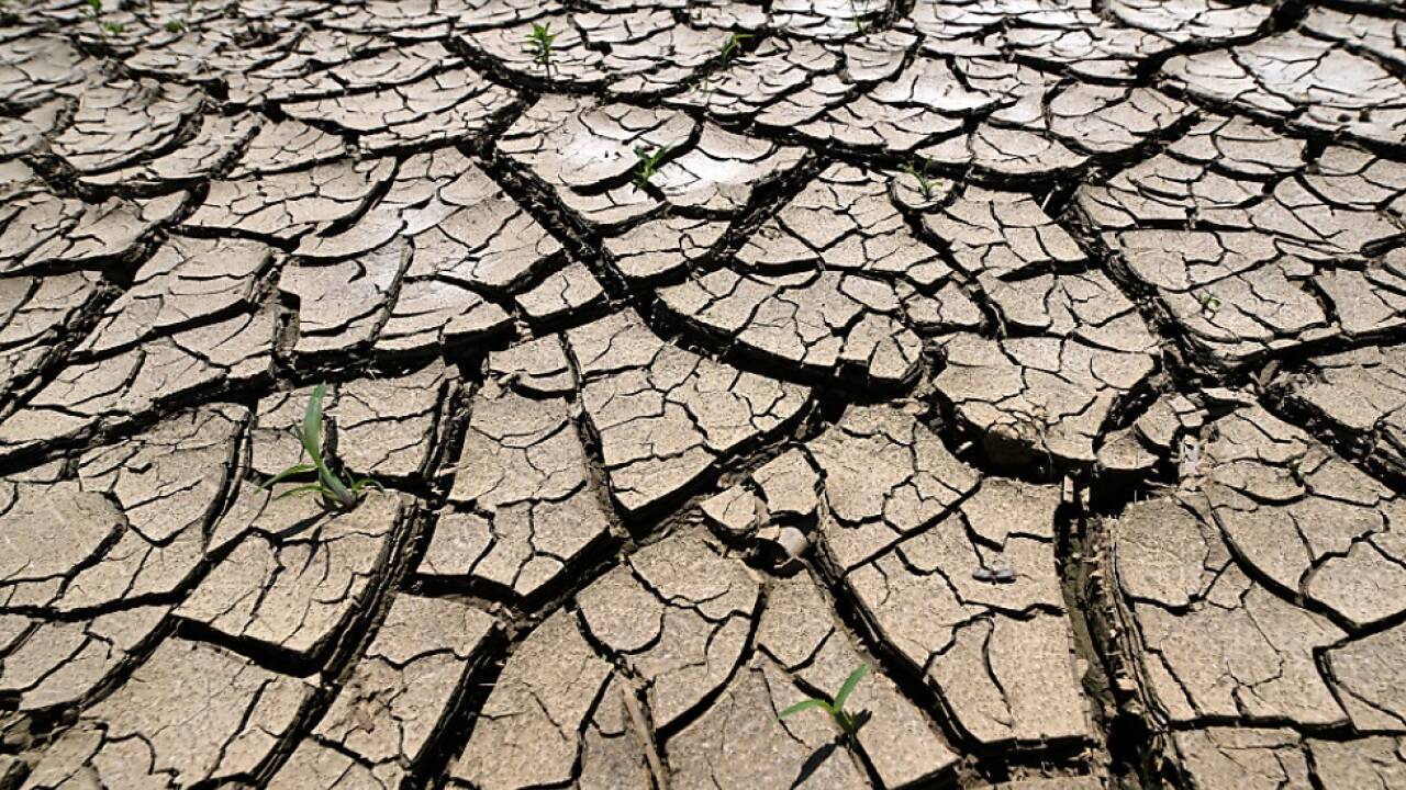 Den Klimawandel im Blick (Symbolbild). 