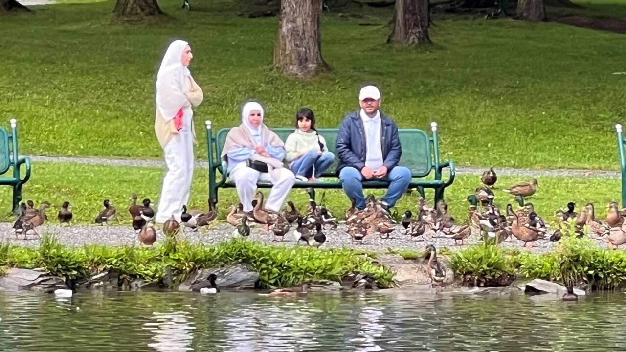Arabische Familie beim Entenfüttern im Hofgasteiner Kurpark. 