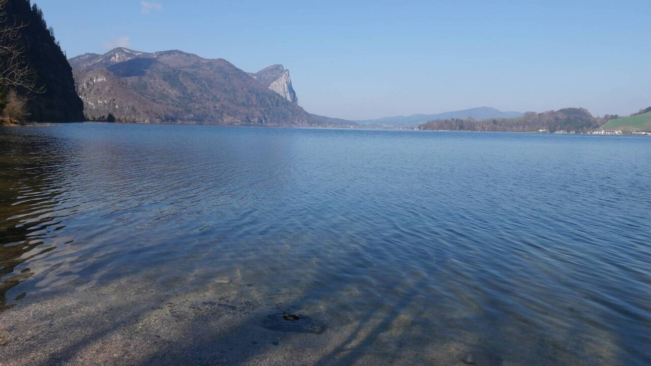 Der Mondsee. 