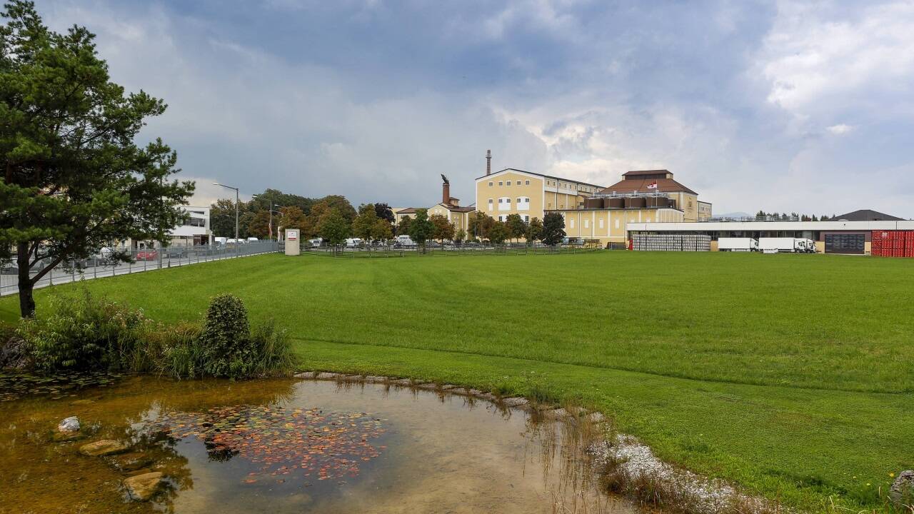 Um diese grüne Fläche in Salzburg-Maxglan wird derzeit gerungen: Die Stiegl-Brauerei will sie als Baulandreserve für den Betrieb zurückhalten, die Stadt will eine Bausperre verhängen. 