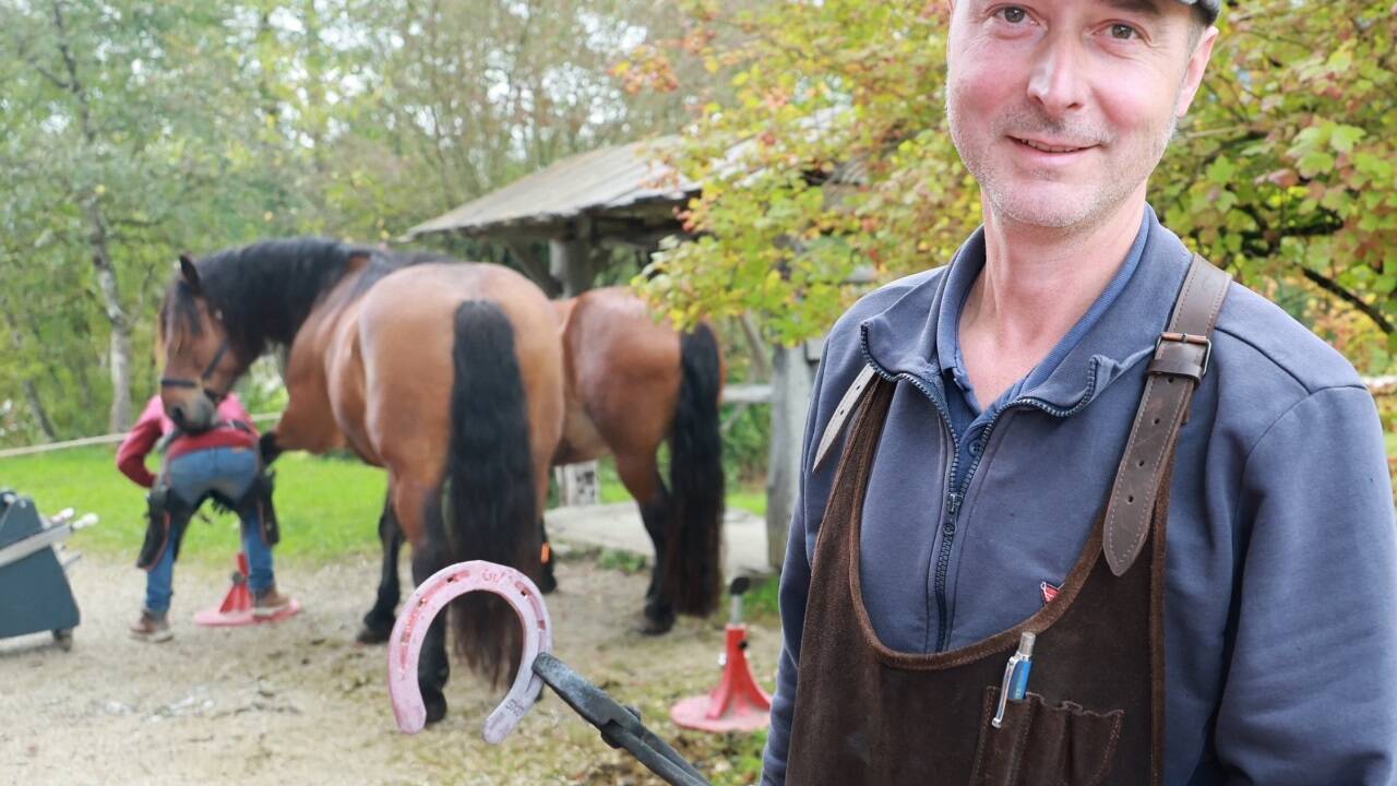 Das Hufeisen ist für ein Norikerpferd zu klein, es würde eher für ein Shetlandpony passen. 