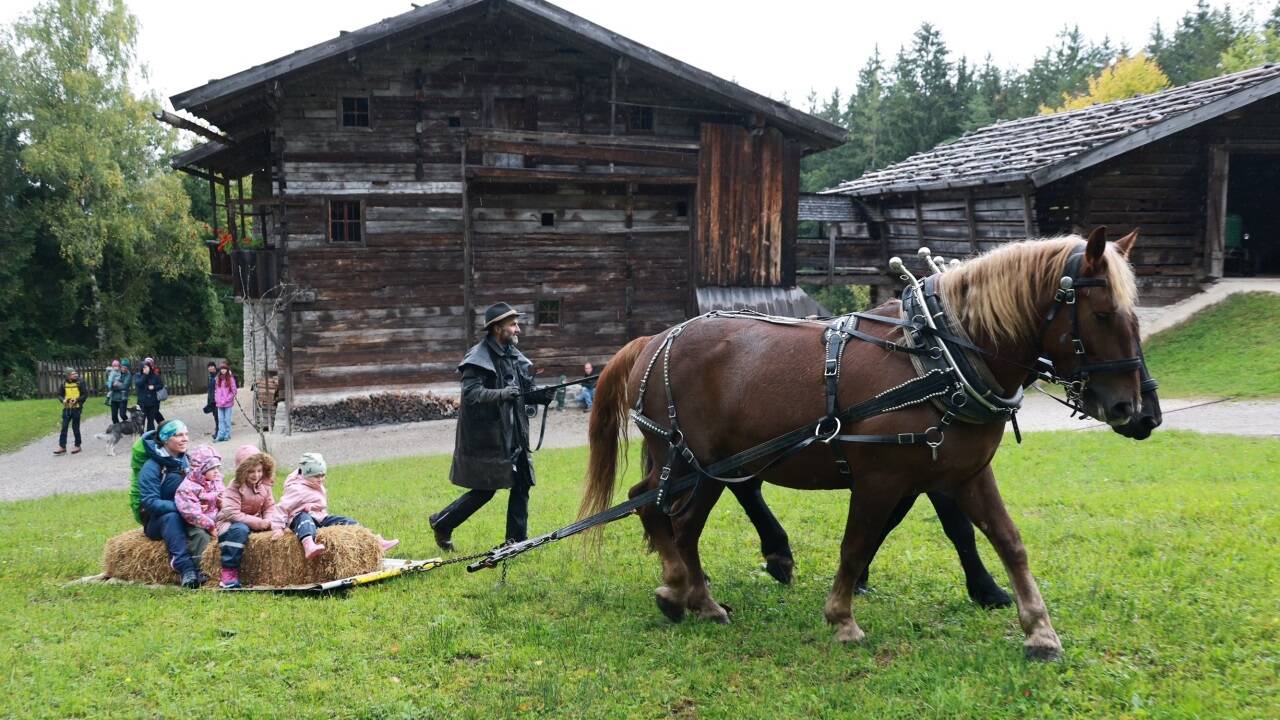 Der Spaß darf auch nicht zu kurz kommen beim Rosserertag. 