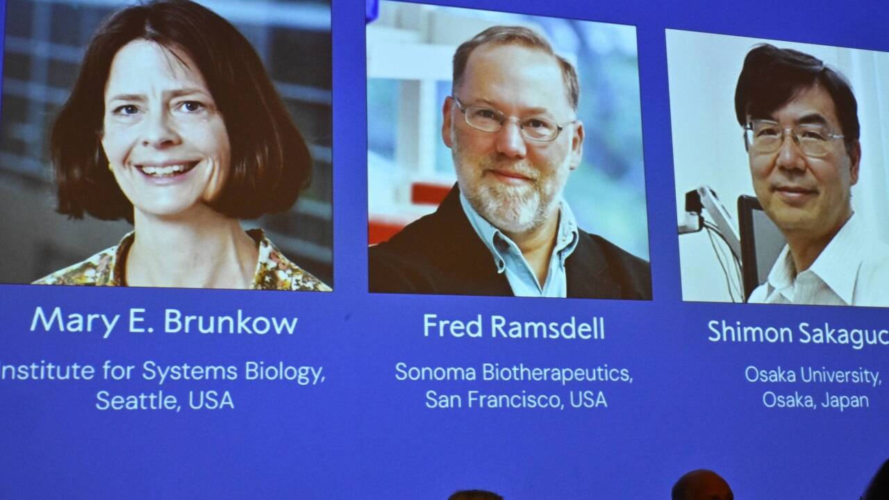 Die Nobelpreisträger für Physiologie oder Medizin des Jahres 2025. 