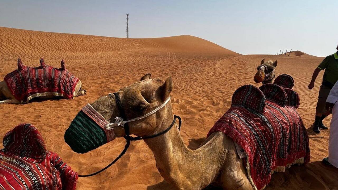 Ein Ausflug in die Wüste ist für uns vermutlich genauso exotisch wie die Krimmler Wasserfälle für Araber. 