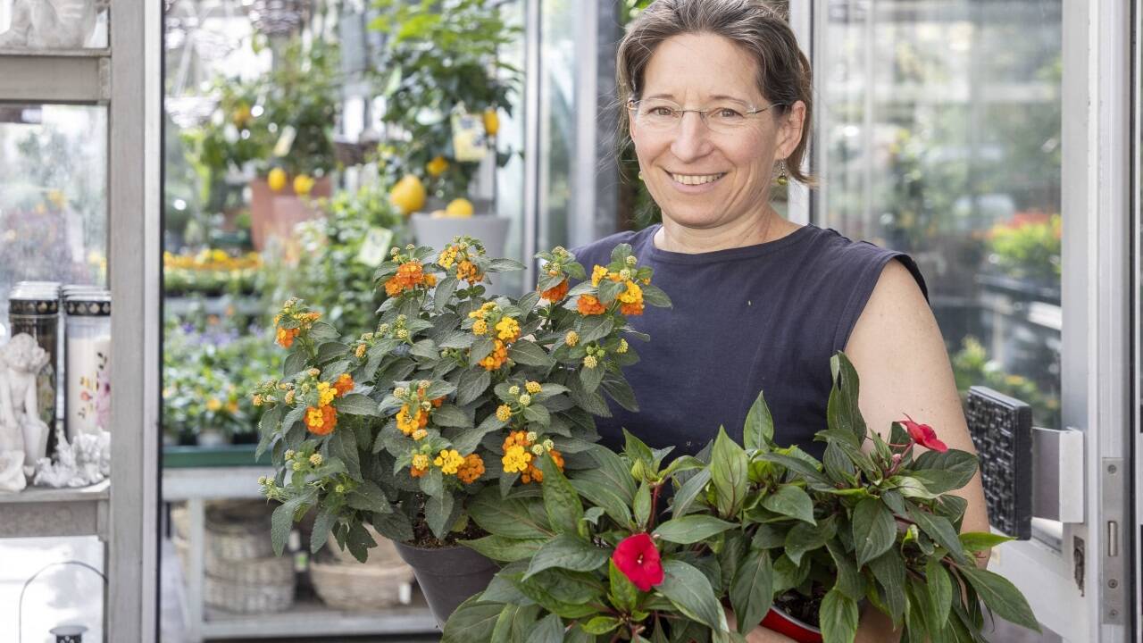 Veronika Schmeikal bietet in ihrer Gärtnerei seit rund einer Woche „Überraschungssackerl“ mit Blumen. Veronika Schmeikal bietet in ihrer Gärtnerei seit rund einer Woche „Überraschungssackerl“ mit Blumen.
