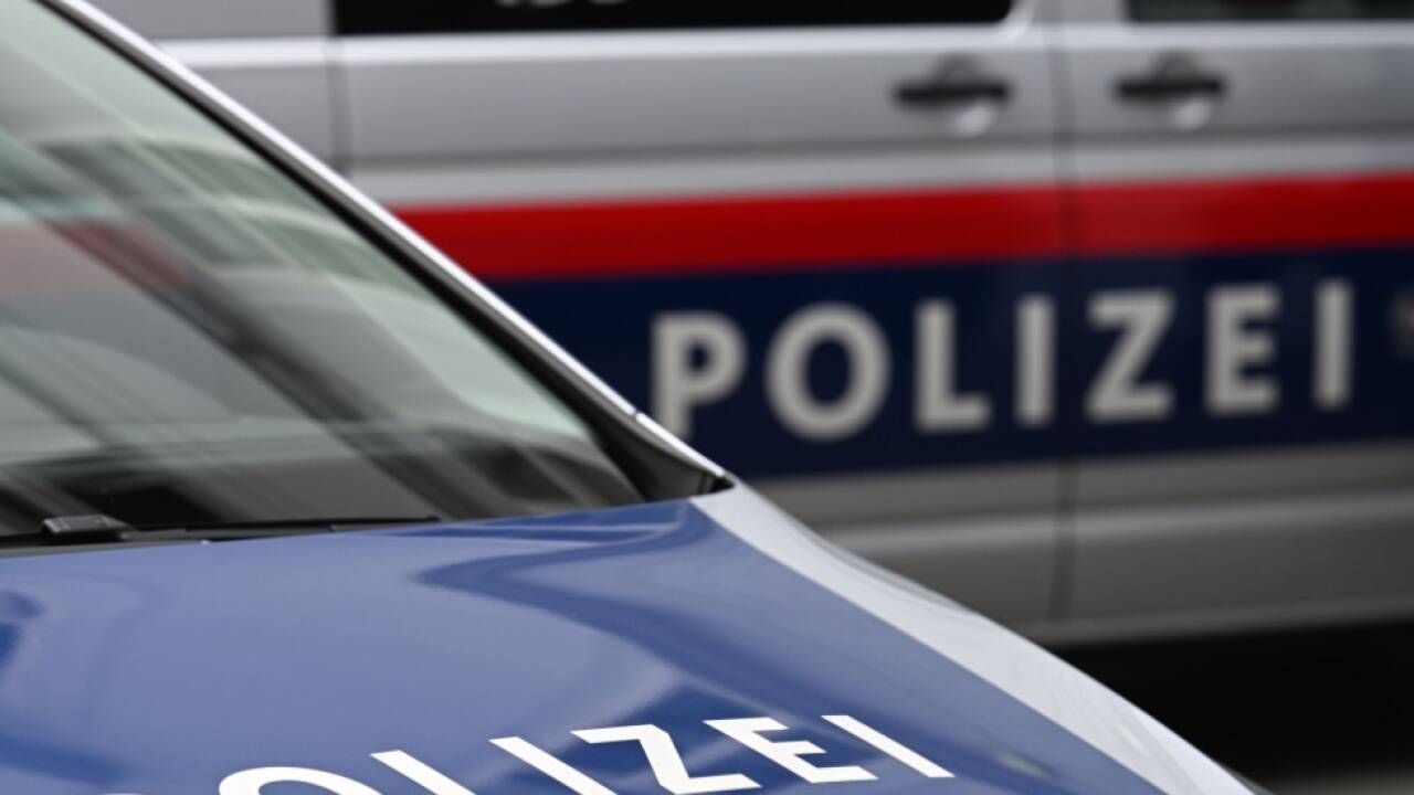 Die Polizei forschte einen 31-jährigen ehemaligen Mitarbeiter als Tatverdächtigen aus (Symbolbild).  