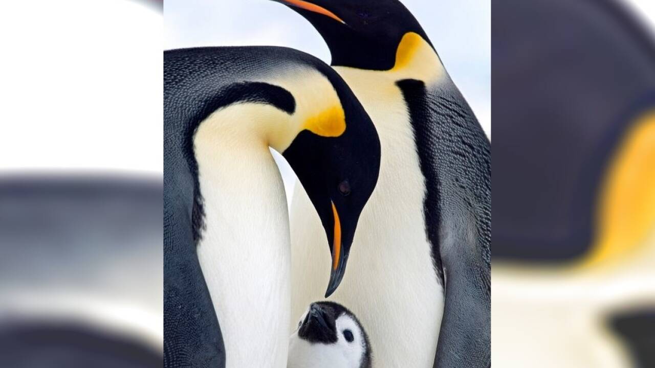 Christian Hinterobermaier ist Veranstalter des Fotowettbewerbs „Die besten Fotos der Welt“. Für heuer musste er komplett umdenken.  