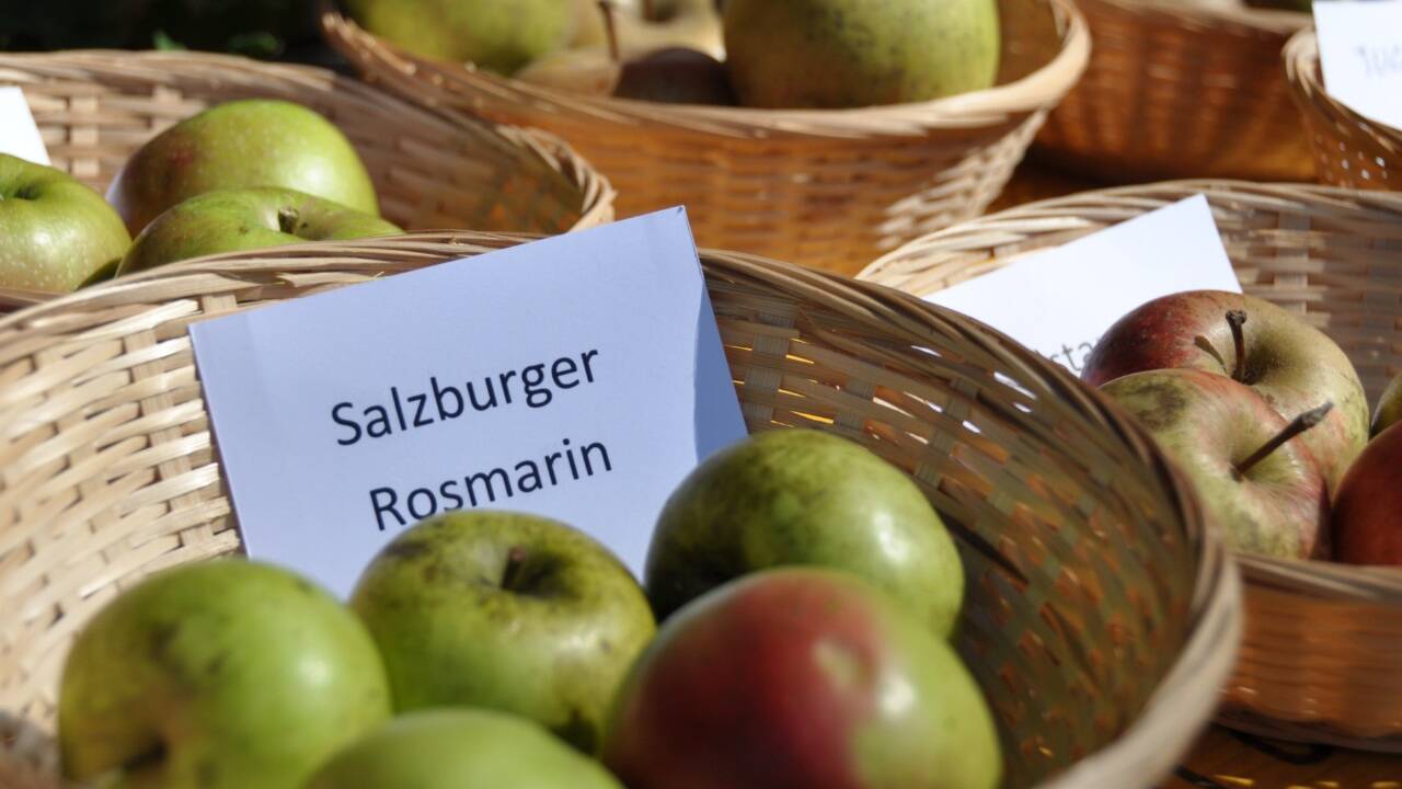 Regionale Schmankerl und herbstliche Natur im Museum: Am 19. Oktober steht der Genuss im Vordergrund. 