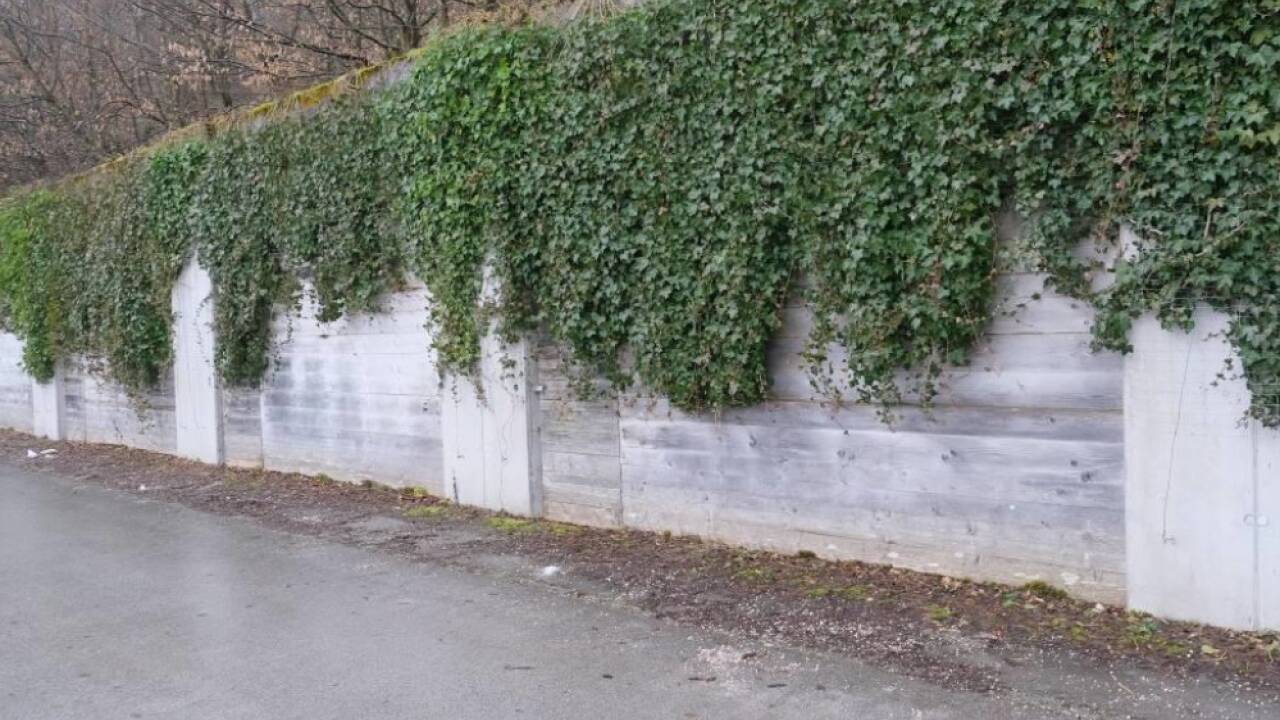 Acht Doppelgaragen in St. Gilgen gehören dem Land Salzburg – sie stehen seit mehr als zehn Jahren leer. Mittlerweile sind sie mit Grünzeug überwachsen. 
