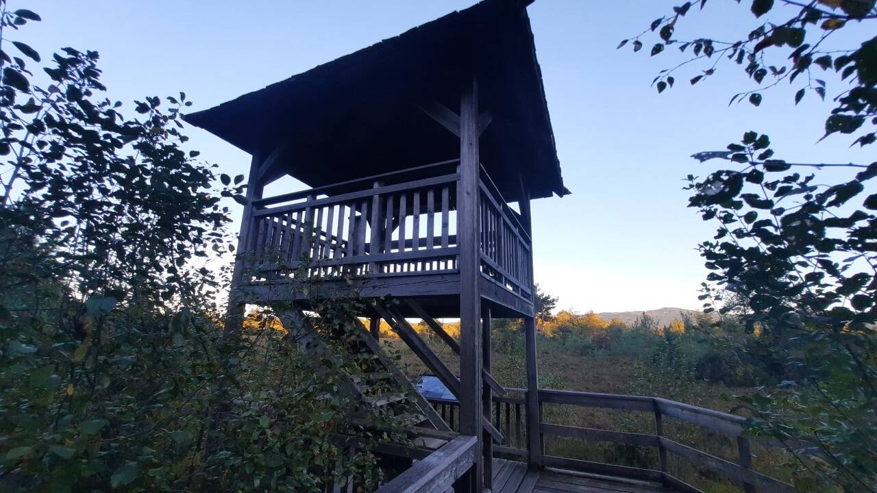 Der Aussichtsturm im Wenger Moor ist eines der Highlights am Weg. 