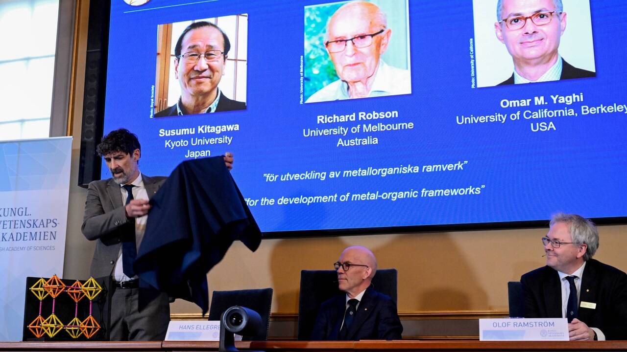 Heiner Linke, Vorsitzender des Nobelkomitees für Chemie, präsentierte per Modell die ausgezeichnete Forschung. 