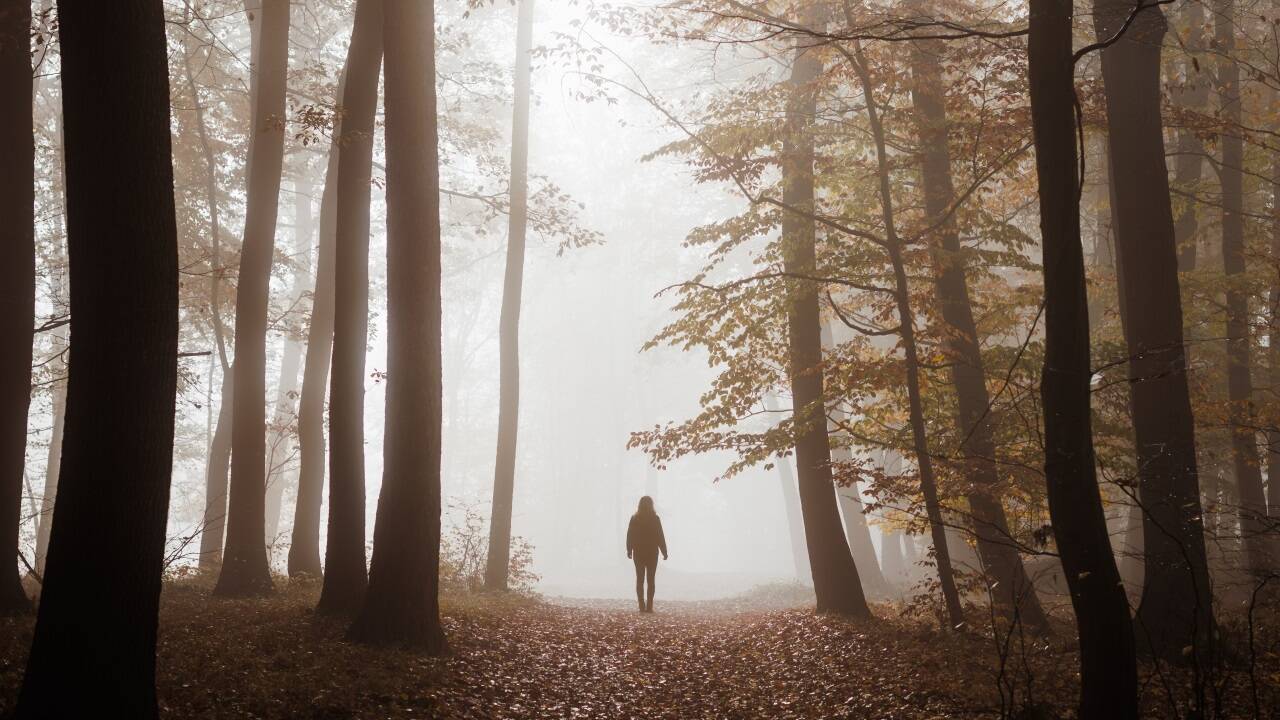 Bei saisonalen Übergängen leiden manche Menschen an einer saisonal bedingten Depression. Bei saisonalen Übergängen leiden manche Menschen an einer saisonal bedingten Depression.