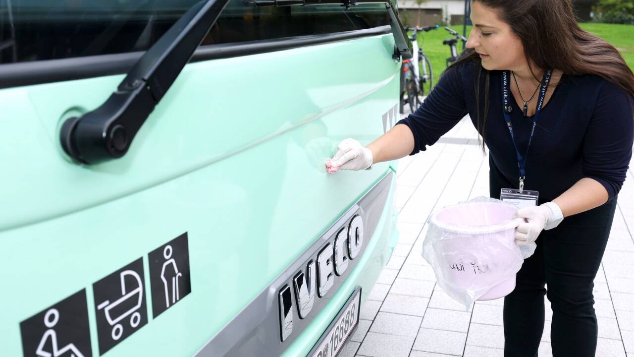 Mit Mikrofasertüchern werden die Insektenreste von den Frontbereichen der Busse entfernt und später im Labor analysiert. Im Bild die Zoologin und Projektkoordinatorin Marjana Ljubisavljevic.  